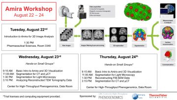 Amira workshop